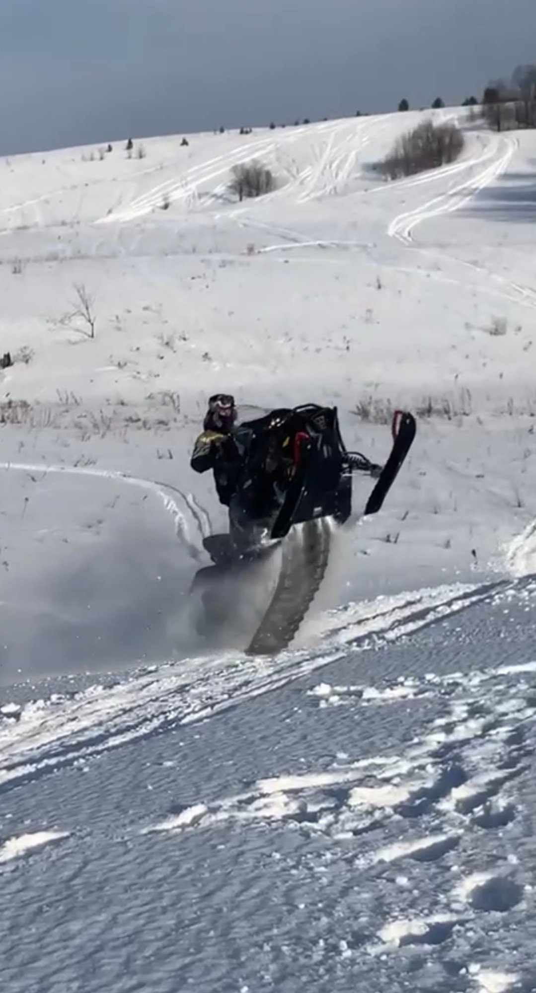 Снегоход в деле